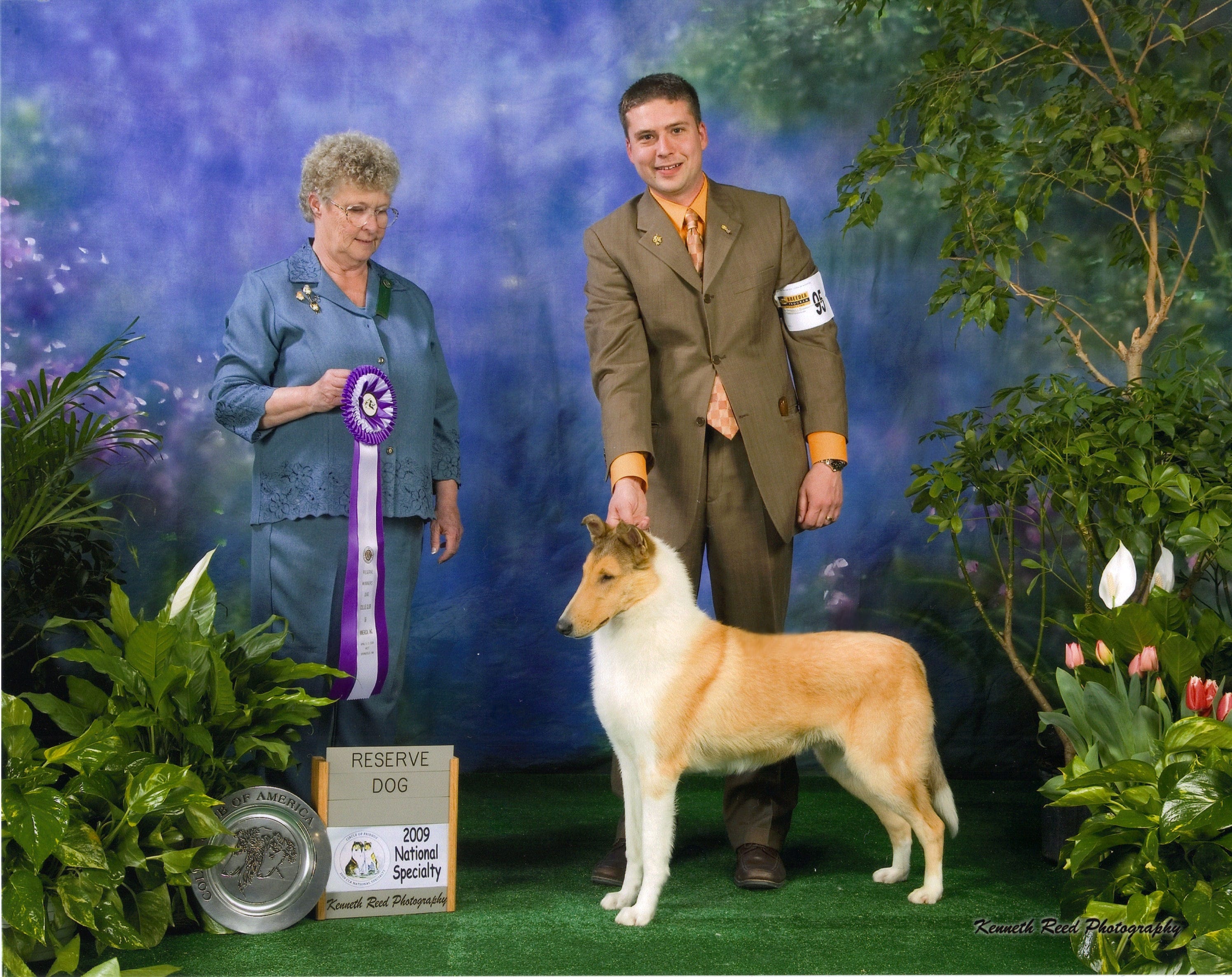 Sable Merle Smooth Collie